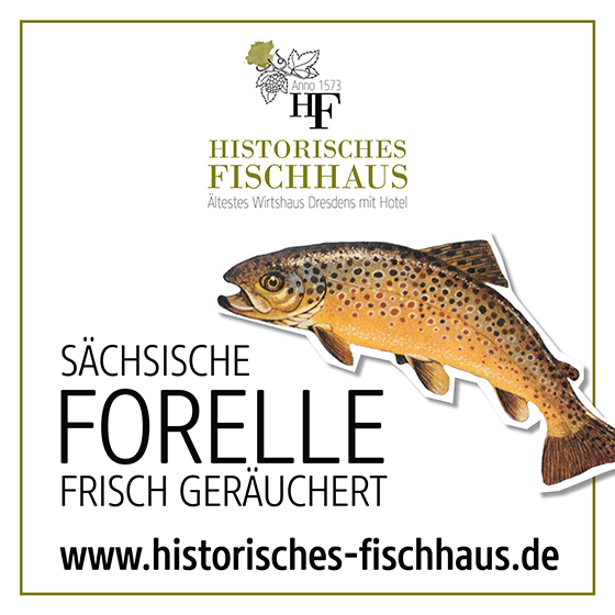 Social Media Anzeige - Historisches Fischhaus Dresden